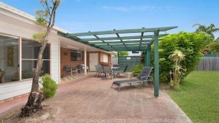 Alexander Palms - East Ballina - 2