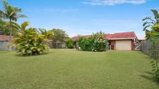 Alexander Palms - East Ballina - 7