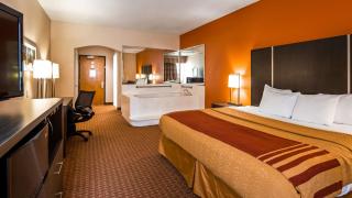 Best Western Plus North Houston Inn & Suites - Houston - 5