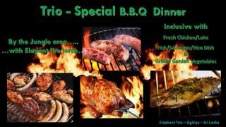 Elephant Trio Sigiriya - 1