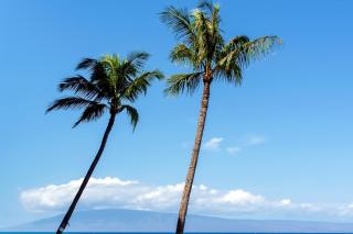Valley Isle Resort - Kahana - 3