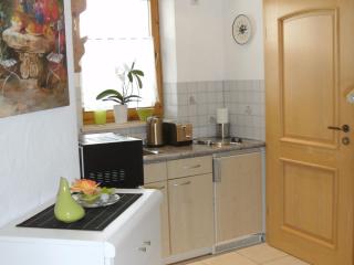 Haus Obere Weinburg - Radolfzell am Bodensee - 1
