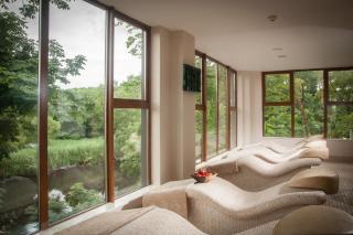 Falls Hotel & Spa - 6