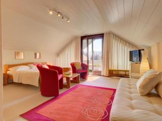 Apartments Dolžan - Bled - 8