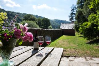 The Old House, Llwyn Madoc - 5