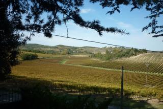 LES BRUYERES chambre d'hôte de charme Calme assuré - Loupia - 3