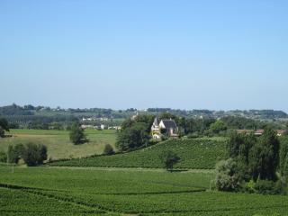 La chambre de la Tour - Lugon et l’Ile du Carney - 4