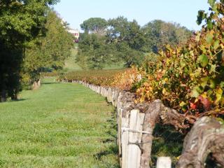 La chambre de la Tour - 8