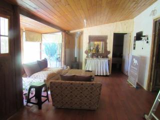 Ciprés del Médano - 7