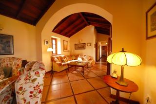 Casa Strelizia - vivienda vacacional - Puerto de la Cruz - 7
