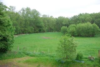 Hotel am Steinertsee - Kassel-Ost - 3