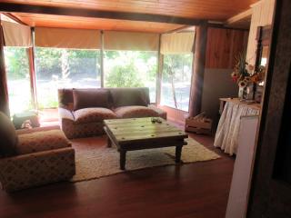 Ciprés del Médano - 1