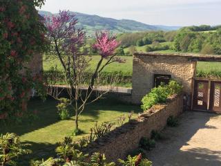 domaine du vernay - Mazille - 1