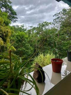 San Rafael Ecolodge - San Gerardo - 0