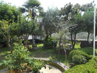 Le Magnolie - Policastro Bussentino - 8