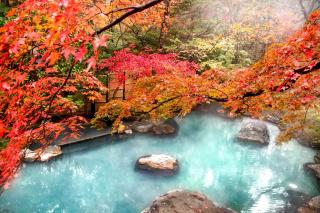 Nasu Onsen Sanraku - Nasu - 3