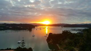 Marina Cove Bay of Islands - Opua - 2