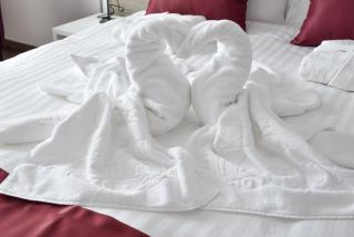 Hotel Ana Lux Spa - Pirot - 5