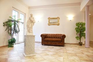 Wellness Hotel Svoboda - Rakovník - 9
