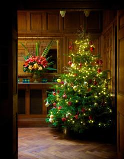 The Wood Norton - Evesham - 9