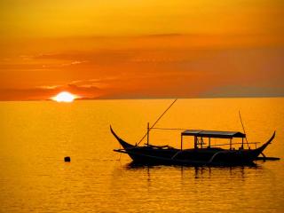 Blue Ribbon Dive Resort - Mabini - 7