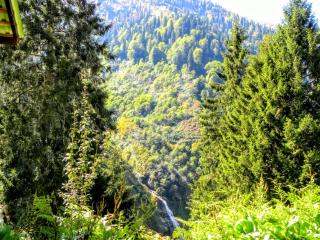 Ayder Şimşir Butik Otel - 1