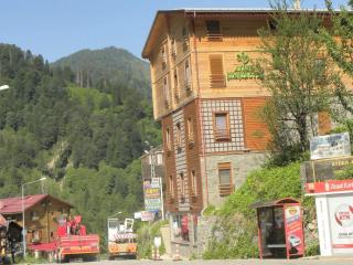 Ayder Şimşir Butik Otel - Ayder Yaylasi - 3