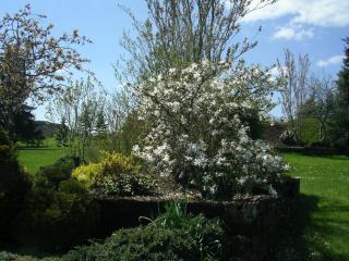 Apartment " LELLGEN " - 6