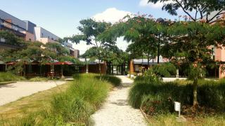 Domitys L'Arbre d'Or - 7