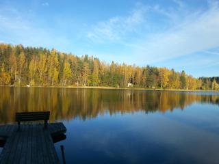 Kuhasensaari Lomakeskus - Lemi - 5