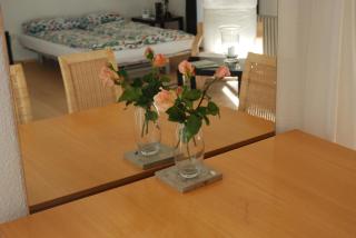 Das grüne Häusle - 7