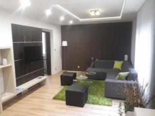 HARMONY Apartment - Janské Lázně - 1