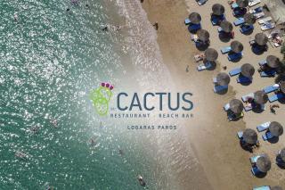 Cactus Beach Paros - Logaras - 1