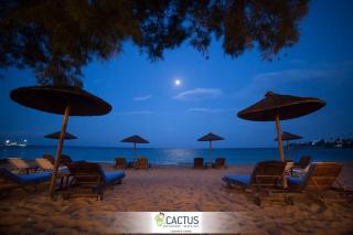 Cactus Beach Paros - Logaras - 3