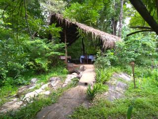 Grand freedom - Sigiriya - 7