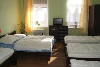 Penzion Modrý Jelen - 1