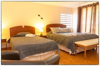 Hostal Los Teros - Coihaique - 8