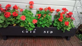 Appartement rdc les flots - Varengeville-sur-Mer - 2
