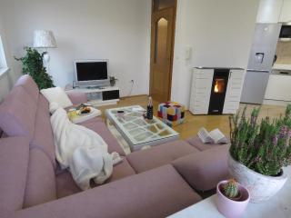 Winter Iris - Kupres - 2
