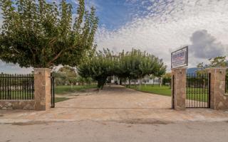 Yiota Studios - Alykes - 5