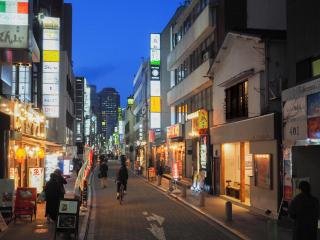 TOKYO LITTLE HOUSE - Tokio - 3