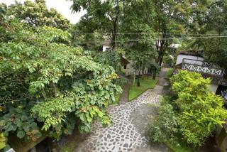 Hotel Treetop - Thekkady - 5