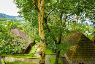 Hotel Treetop - Thekkady - 3