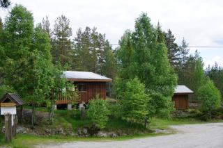 Visit Wilderness - 4