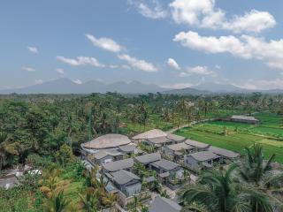 Daun Lebar Villas - Payangan - 7