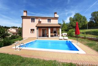 Villa Kmacici 377 - Sveti Lovreč Pazenatički - 0