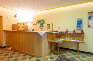 Pension Südhang - Bad Kleinkirchheim - 2