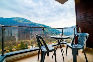 SinaiaMountainView - Panoramic - Sinaia - 8