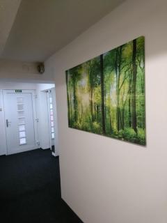 Penzion Forest - Rozvadov - 2