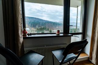 SinaiaMountainView - Vista - Sinaia - 3